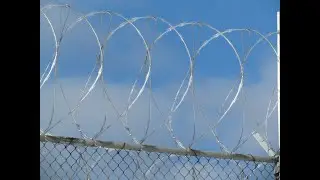 Are Aboriginal Incarceration Rates Evidence of Systemic Racism?