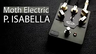 Moth Electric P. Isabella Fuzz / Distortion Pedal