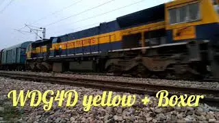 Goods train in lockdown  2020 ( WDG4G, WDG4D, WDM3c etc)