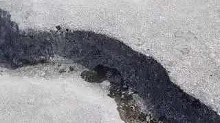 The 