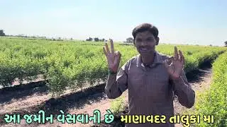 આ જમીન વેસવાની છે { 94290 88454 ) મસ્ત જમીન માણાવદર તાલુકા મા વાયા બાટવા @koi_pan_vastu_nile_vesh 