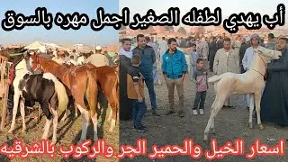 معقول أب يكافئ ابنه الصغير بأجمل مهره في السوق كله بيقول مهما كان سعرها هجبهاله؟|اسعار الخيل والحمير
