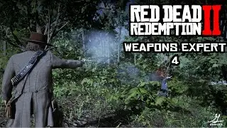 RDR2 - Weapons Expert 4 - Geriuxx