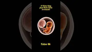 13 Weeks Baby final Weeks Of the Ist trimester | Fetus Development #baby#pregnancybyfaith#babygrowth
