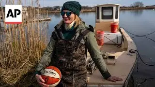 Retired WNBA star Sue Wicks finds her next calling in oyster farming