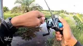 DMK cheetah casting gabus (HanFishingStory)