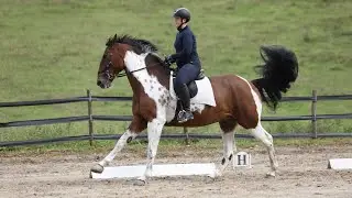 BD Prelim 1 2024 - Warren Barn Farm - Olympic Torch