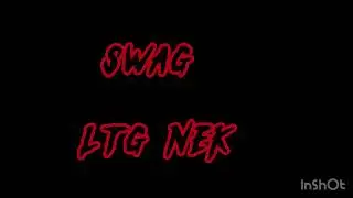 LTG NEK &ldquo;SWAG&rdquo; (OFFICIAL AUDIO)