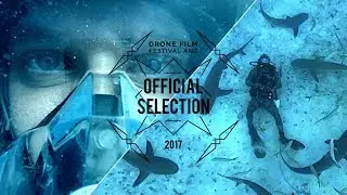 Shark Dronie by Florian Fischer - Official Selection - Drone Film Festival ANZ x SanDisk