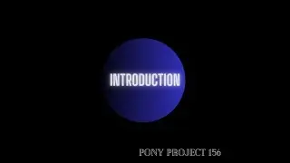 Introduction  - Pony Project 156