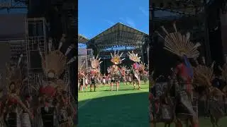 Angami dance #hornbill #indigenous #culturalfestival #lifeisbutadream #angamitribe #tribaldance #tri