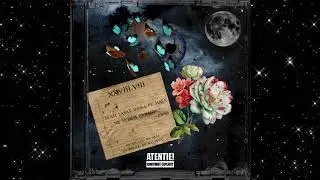 ACLI - Vechea Tu | Official Audio
