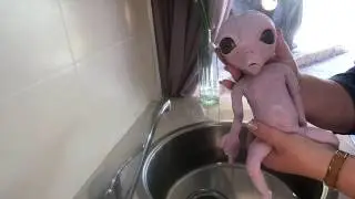 Silicone baby alien (first bath) 💗