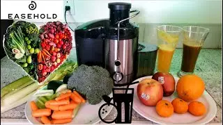 Соковыжималка EASEHOLD 600 Вт | Ведите здоровый образ жизни