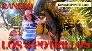 La casa de Vicente Fern&aacute;ndez, Rancho los 3 Potrillos