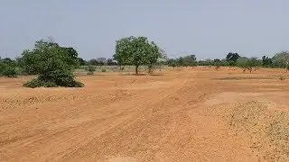 Renewing agriculture to rebuild a broken environment Sony Computer Science Laboratories,Inc.