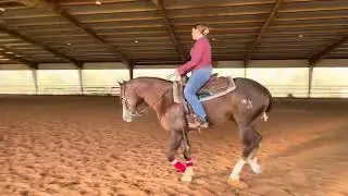 SMU 2024 first time on a Reining horse (john snow)