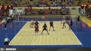 Andy Benesh Highlights 2017