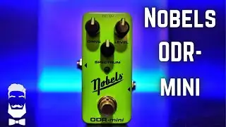 Nobels ODR-MINI What's The Hype?!