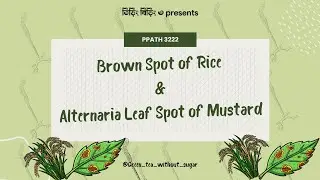 Ppath3222-Job video of Brown Spot of Rice & Alternaria Leaf Spot of Mustard 🔥