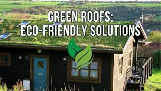 Green Roofs: A Sustainable Solution for Future Cities