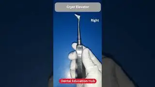 Cryer Elevators