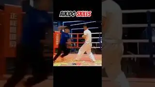 Aikido Skills 🥋 #aikido #mma #martialarts