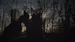 Die Oberherren: The Horned One Stabs (Official Video)