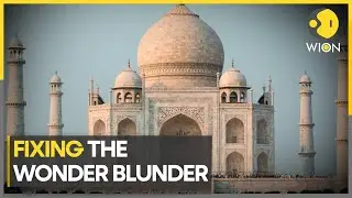 Taj Mahal turns green due to insect droppings | WION Climate Tracker | English News