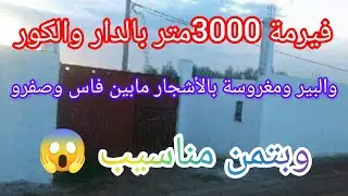 همزة رأس السنة فيرمة 3000متر بالدار والكوري والبير وضايرة بالصور نواحي فاس 😱@3a9aratchaykh