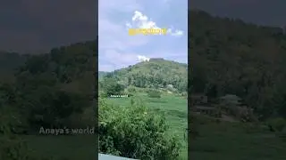 കട്ടപ്പന, ഇരട്ടയാർ എങ്ങനുണ്ട് (Kattappana, Erattayar)#idukkivibes ##kerala