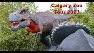 Calgary Zoo Tour 2023