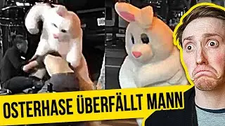 Die DÜMMSTEN Verbrecher aus Amerika