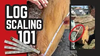 How to Scale Logs with a Doyle Log Ruler