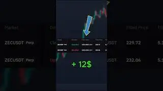 12$ on ZEC IN 4 MINUTES. NOT FA. #trading #crypto #bitcoin #ethereum  #cryptocurrency #bybit