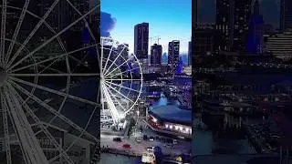 The stunning Beauty of Miami #florida #usa #travelvlog