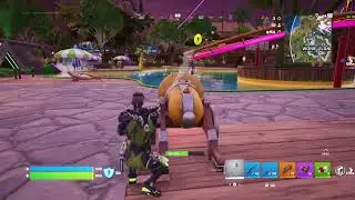 Fortnite 0212 Solo*