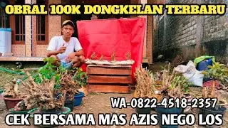 Obral 100k bersama mas azis DONGKELAN terbaru nego Los 📲0822-4518-2357