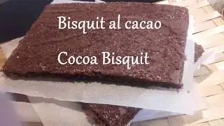 #bisquit #bisquitrecipe #pastabiscotto    Bisquit al Cacao (Pasta Biscotto) / Perfect Cocoa Bisquit