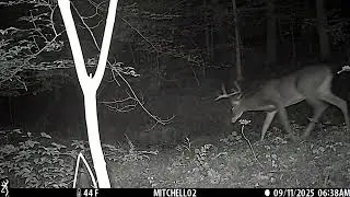 Browning Trail Camera Amazing Quality 