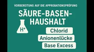 S&auml;ure-Basen-Haushalt verstehen in 15 Min: Chlorid, Anionenl&uuml;cke & Base Excess