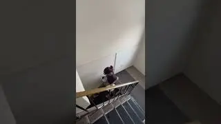 How to use coin washing Machine