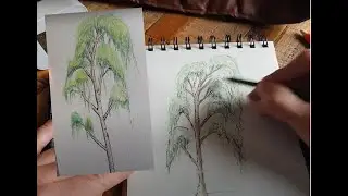 Dessiner un arbre en 10 min ( bouleau pleureur )