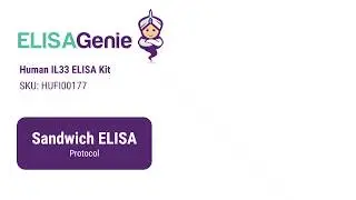 Human IL33 ELISA Kit (SKU: HUFI00177) - ELISA Genie