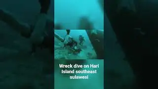 dive with friends #divefun #ocean #sea #fundive