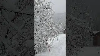 Morgins ❄️magnifique
