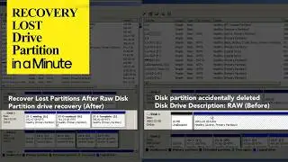 Recover lost partition drive RAW after wrong format parititon