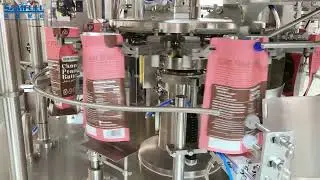 250g corn flakes packing machine