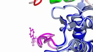 GSK3beta
