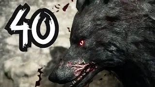 Lost Wolf Boss Fight | Assassin's Creed Valhalla Gameplay Walkthrough Lets Play Part 40(Full Game)